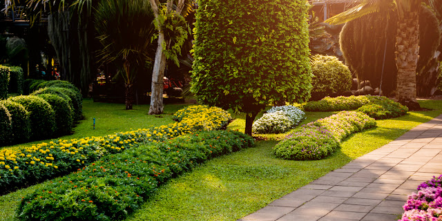 What are the 7 principles of landscape design?