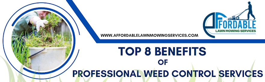 Top 8 benefits of professional weed control services