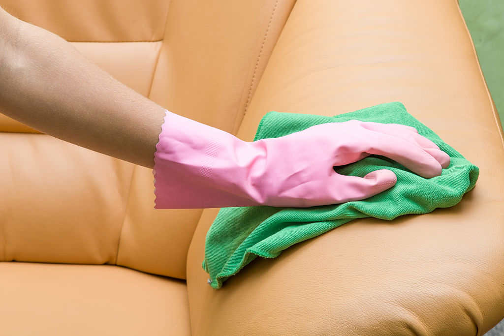 Professional Upholstery Cleaning Services In Brookvale